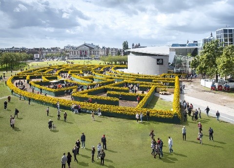 Zonnebloemen Labyrint van het Van Gogh Museum