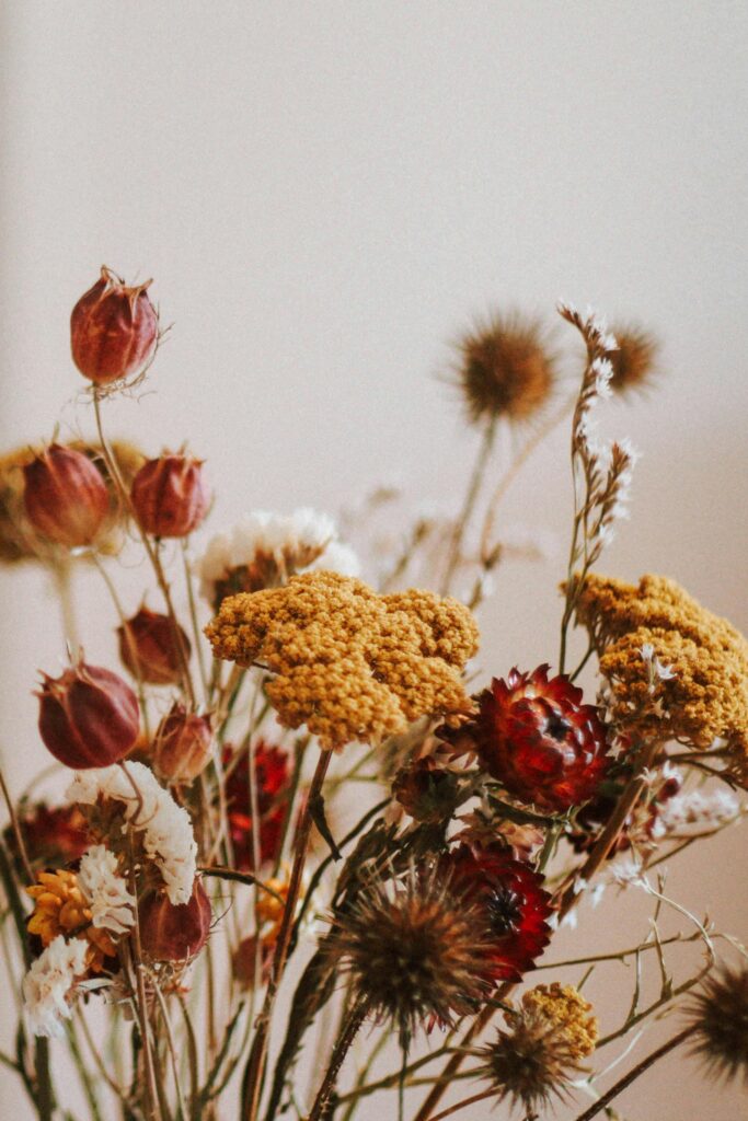 Droogbloemen