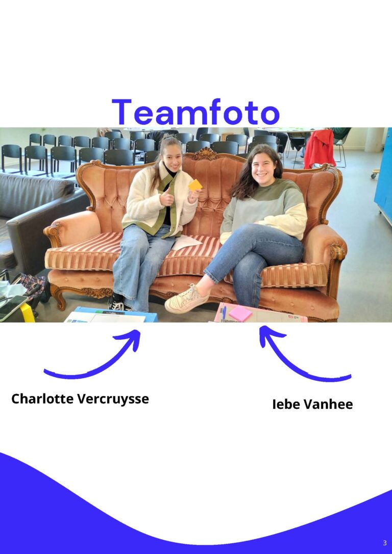 conceptontwikkeling_VercruysseCharlotte&VanheeIebe_Pagina_03